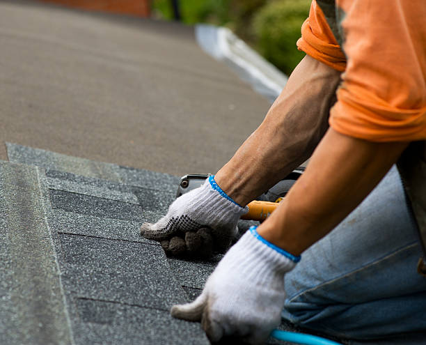 Best Storm Damage Roof Repair  in Warminster Heights, PA