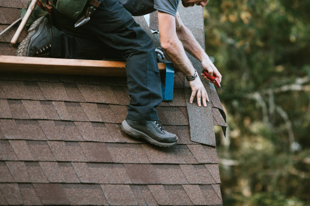 Best Flat Roof Repair Services  in Warminster Heights, PA